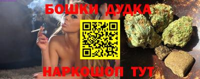 шишки Камышлов