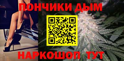 шишки Камышлов