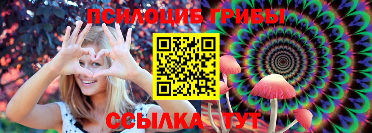 Псилоцибиновые грибы Psilocybe Ульяновск